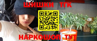 шишки Гусь-Хрустальный