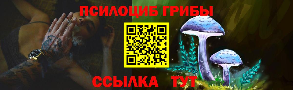 Еманжелинск  наркотики  Вход с VPN  Галлюциногенные грибы прущие грибы  Псилоцибиновые грибы мухоморы 